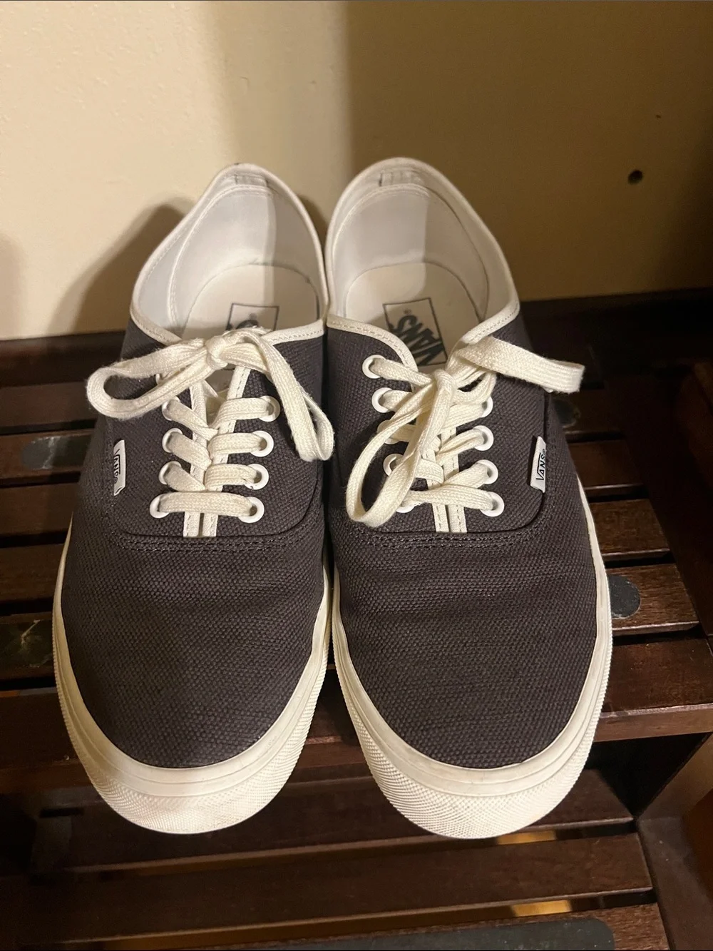 Vans Black Canvas Low-Top Sneakers with White Accents